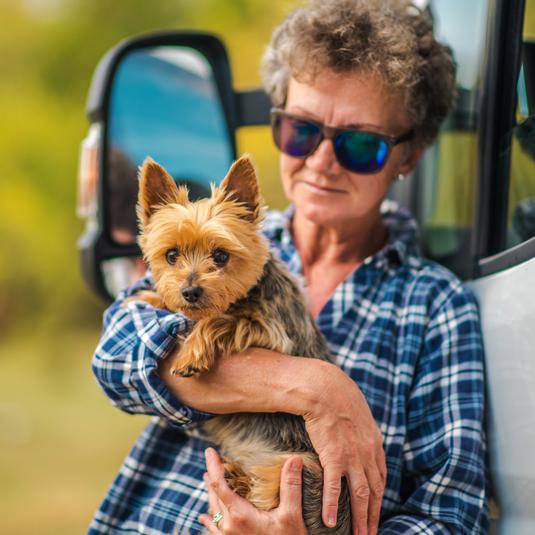 Nomad Paws: Tips and Tricks for Living the RV Life with Pets
